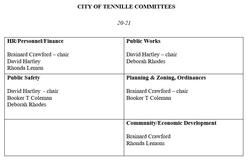 Mayor and City Council Tennille Washington County